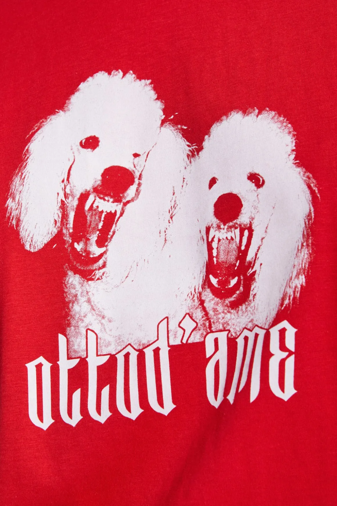 Tee Shirt en coton